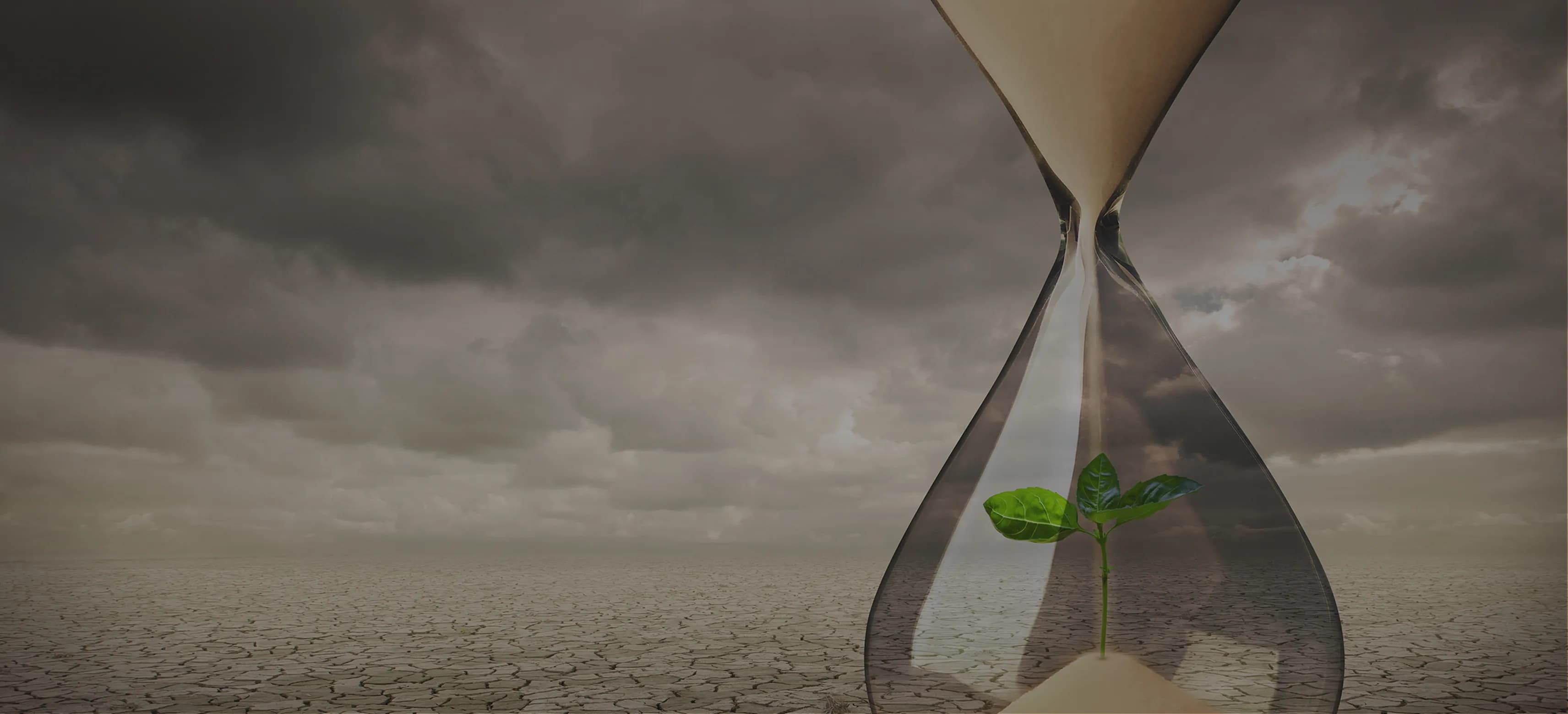 법무부의 역사 법치의 역사와 가치를 담다.